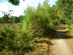 08 Sep 2013: Footpath on northern edge of 2A